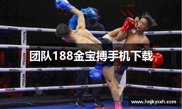 团队188金宝搏手机下载